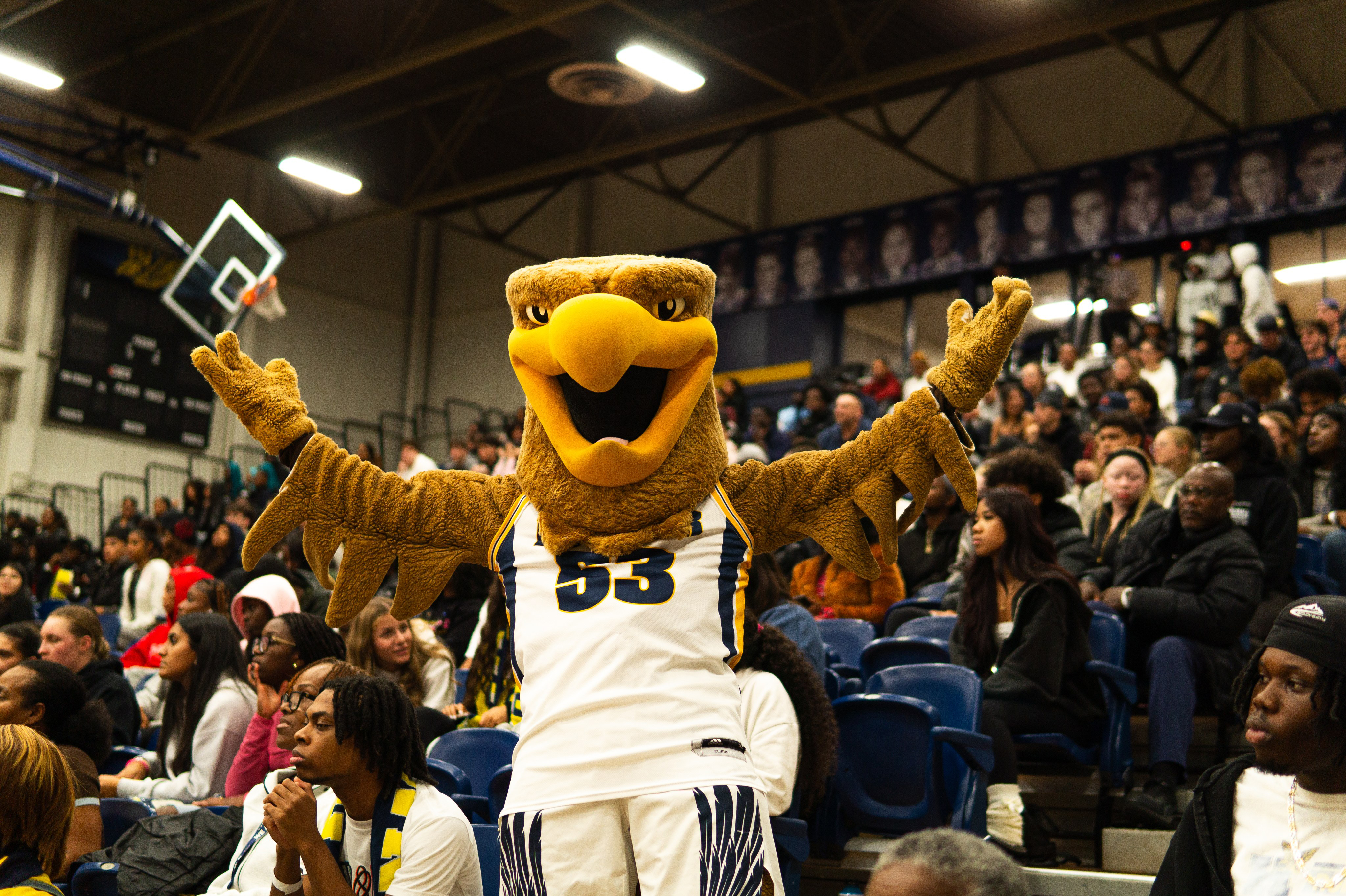 Humber Hawks photography example