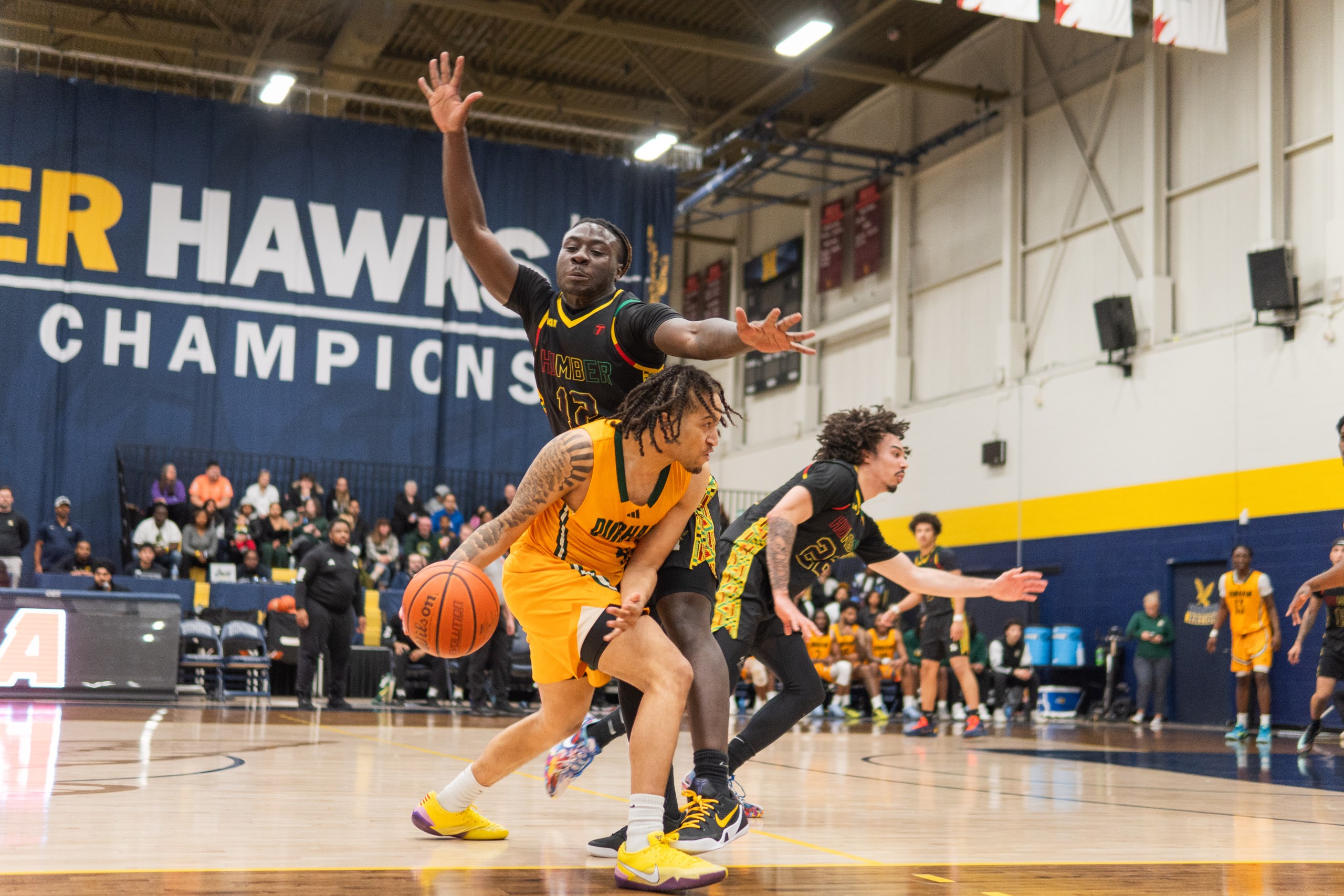 Humber Hawks photography example